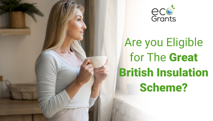 Great British Insulation Scheme eligibility
